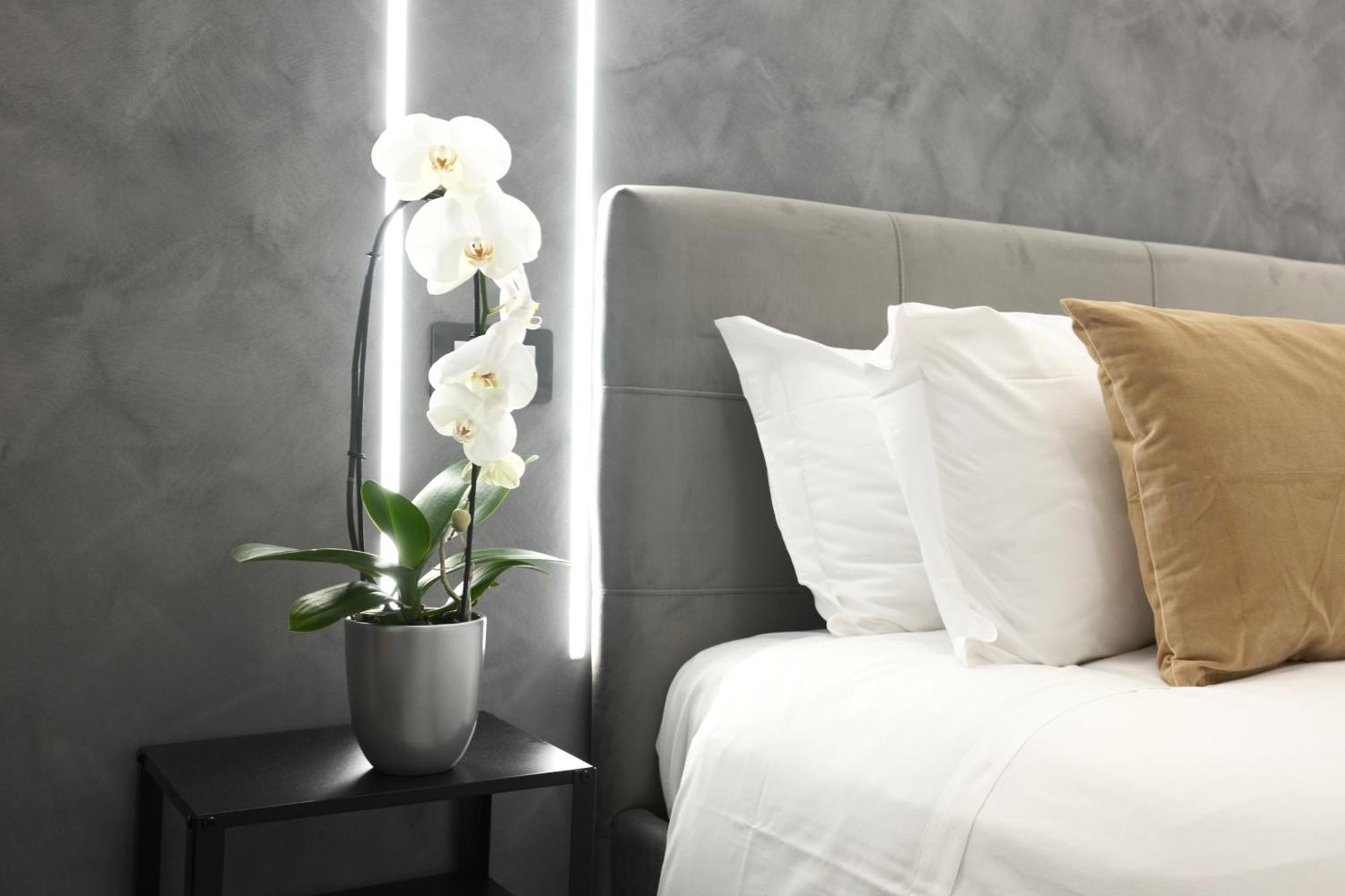 Turati Inn โรม ภายนอก รูปภาพ